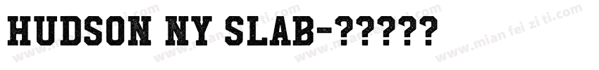 Hudson NY Slab字体转换